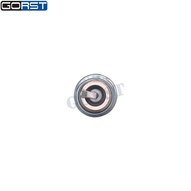 10Pcs M14x1.25 Double Iridium  - Bosch Spark Plug Iridium 评论和价格